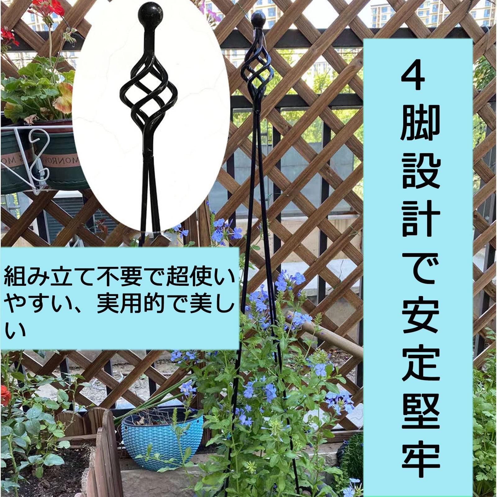 Amazon.co.jp: バラ クレマチス 誘引 つる性 庭 ベランダ テラス